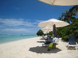 Maldives HOW TO �����f�B�u