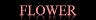 FLOWER ARRANGEMENT �t�����[�A�����W�����g
