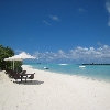 img_4349_rs.jpg
