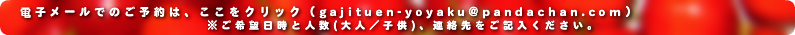 山梨県 サクランボ狩り がじつ園 メール予約